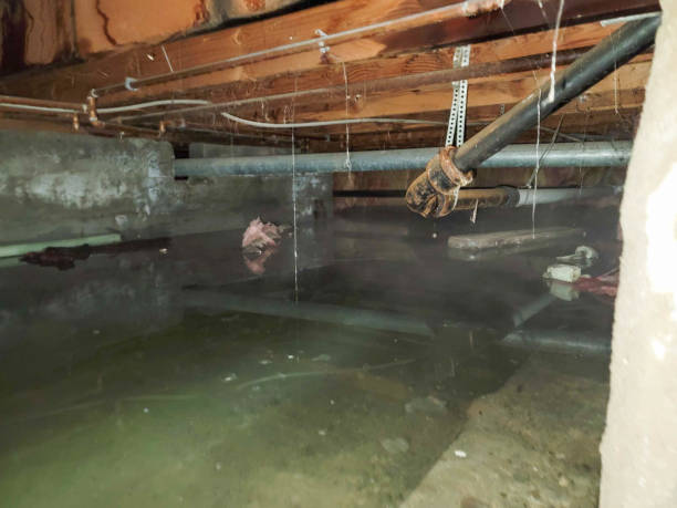 Reliable Calhoun City, MS Water damage restoration Solutions