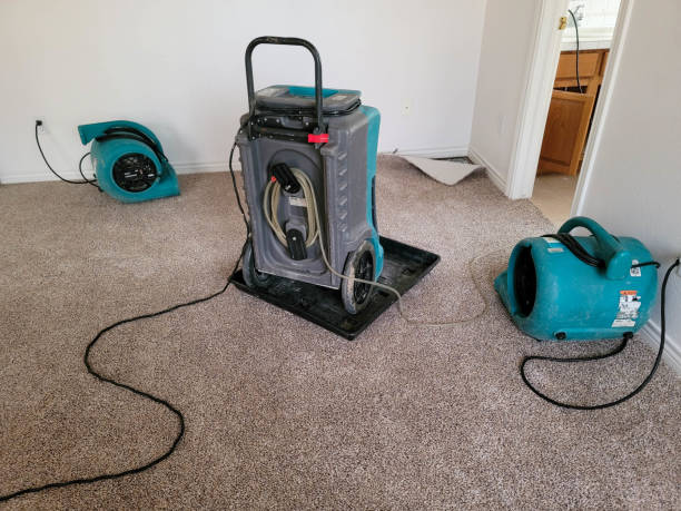 Best Water damage restoration specialists  in Calhoun City, MS