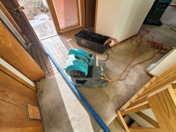 Best Professional water damage repair  in Calhoun City, MS