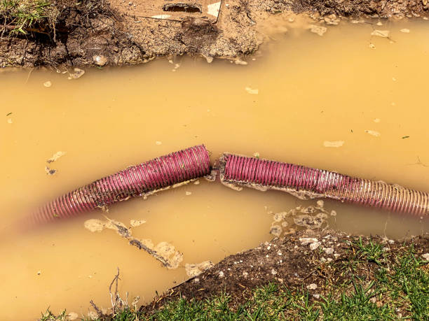 Water damage restoration insurance claims in Calhoun City, MS